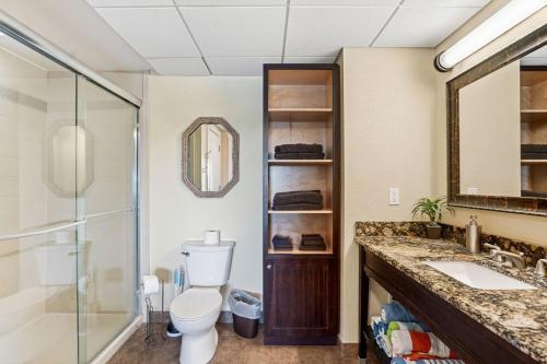 a bathroom with a toilet and a sink and a shower at Splash Harbour, Harbourside Waterfront Condo in Clearwater Beach