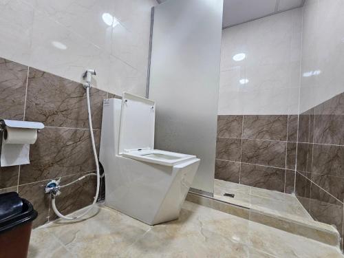 a bathroom with a toilet and a shower at Lawrence Luxury Camp in Wadi Rum