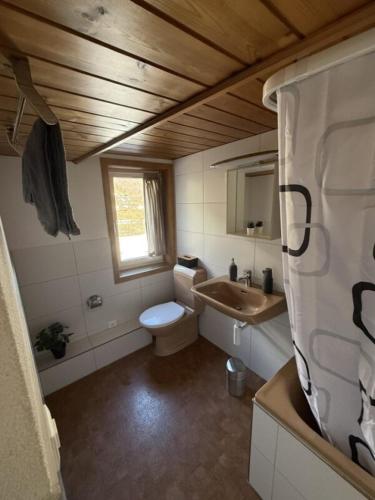 a bathroom with a toilet and a sink at Hotel Central - Self Check-in in Luchsingen