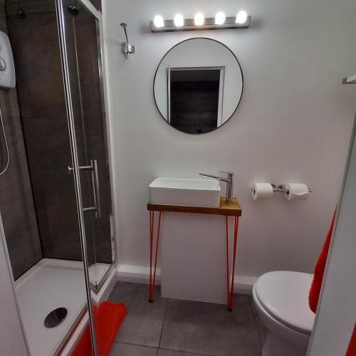 a bathroom with a sink and a mirror at Thistles Studio - Near Newark & Stubton Hall in Claypole