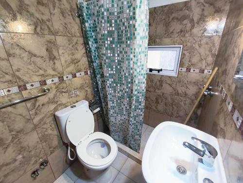 a bathroom with a toilet and a sink and a shower at B&B Copahue in San Carlos de Bariloche
