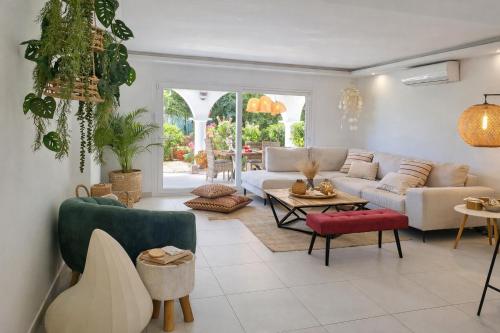 NOCTUA PARAISO CALENDULA 010