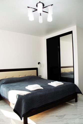 a bedroom with a bed and a large mirror at Апартаменты Сонячний квартал in Golubinoye