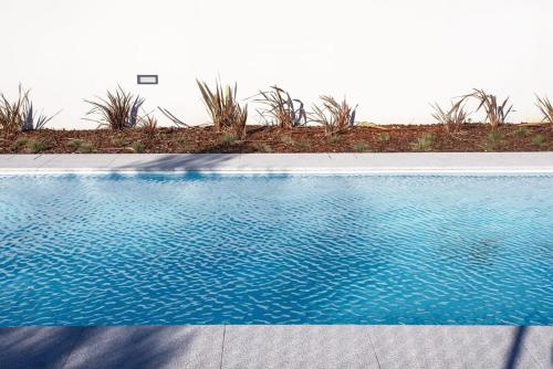 a swimming pool with blue water and a sidewalk at Liiiving in Porto - Haven Pool Apartment in Porto