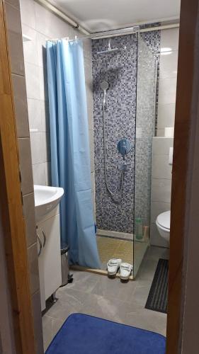 Koupelna v ubytování Apartman Sara