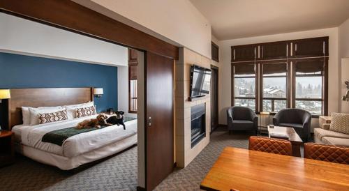 Ein Hund sitzt auf einem Bett in einem Hotelzimmer. in der Unterkunft Evolution Whistler, by Lodging Ovations in Whistler