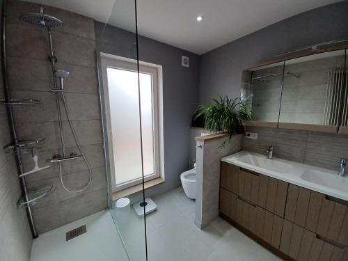 a bathroom with a shower and a sink and a toilet at B&B La source de notre Manon in Jauche