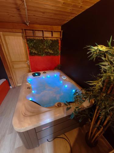 a jacuzzi tub in a room with plants at 3 Gites- Le Roosevelt, Côte 204, Côte 204 Bis in Château-Thierry