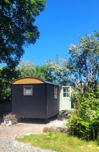 a black shed with a green door in a yard at Cwt Cen y Coed in Llanferres