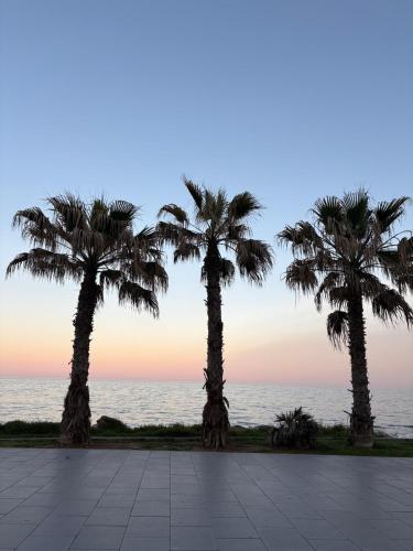 Sunny Torrevieja - Cozy Apartment with Terrace