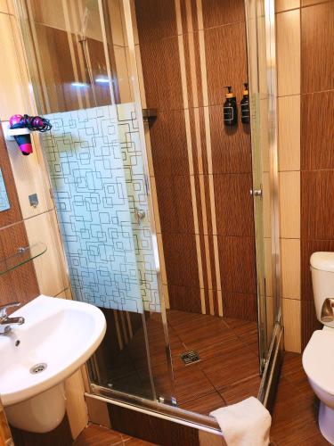 a shower with a glass door in a bathroom at Althanský penzion in Znojmo
