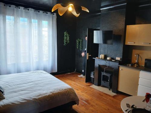 a bedroom with a bed and a television and a fireplace at la penombre spa in Abbeville