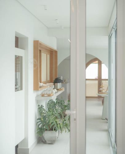 a hallway with white walls and a potted plant at Olisa Hotel Boutique in Maresias