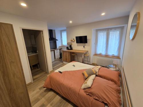 a bedroom with a bed and a desk in it at Le Sebastopol- Studio cosy en centre ville de Brioude in Brioude