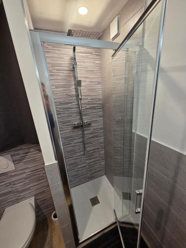 a bathroom with a shower and a toilet at Le Sebastopol- Studio cosy en centre ville de Brioude in Brioude
