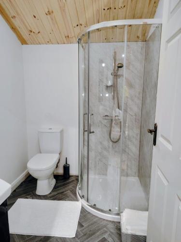 a bathroom with a shower and a toilet at Sky View Cabin in Ardaghy
