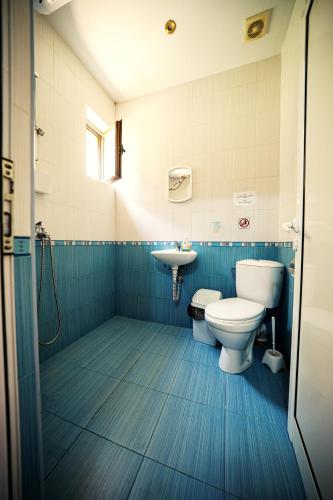 a bathroom with a toilet and a sink at Бунгала Дара in Kalofer