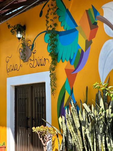 Casa Lirio