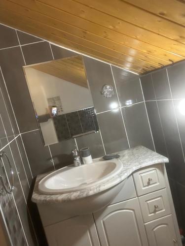 a bathroom with a sink and a mirror at Gîte des Buis de l'Ain in Groslée