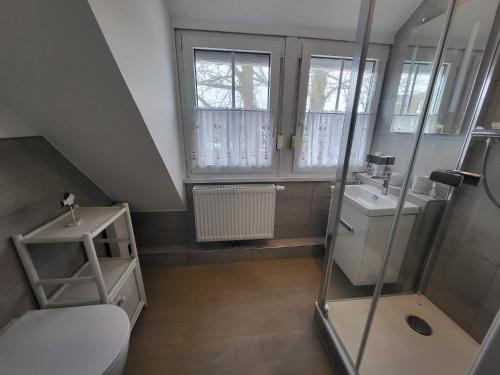 a bathroom with a shower and a toilet and a sink at Haus Achter de Kark in Krummhörn