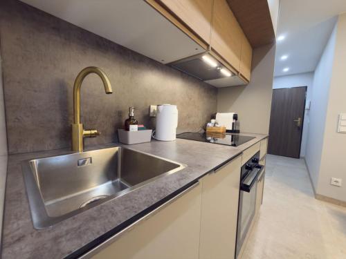 Modern apartment with alpine charm in Bad Gastein photo 3