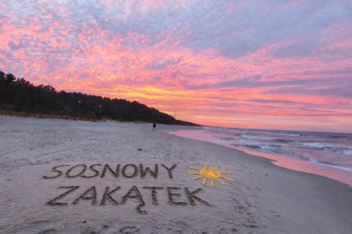 Sosnowy Zakątek Stegna- wędkowanie, rowery, plac zabaw