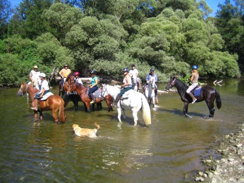 Gallery image of Els Torrents in Bellver de Cerdanya 
