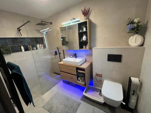 a bathroom with a sink and a toilet and a shower at Sissy Ring House in Mogyoród
