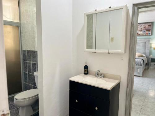 a bathroom with a sink and a toilet and a mirror at 5 VENATOR House Boutique in León