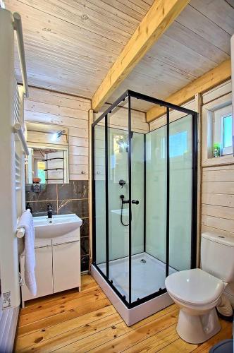 a bathroom with a glass shower and a toilet at Dziedziniec Karkonoszy in Podgórzyn