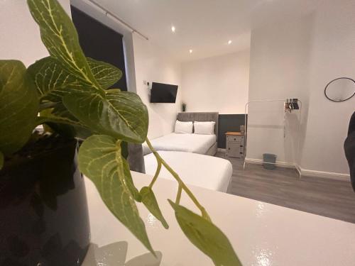 Amazing 10 bed apartments on Mathew Street photo 40