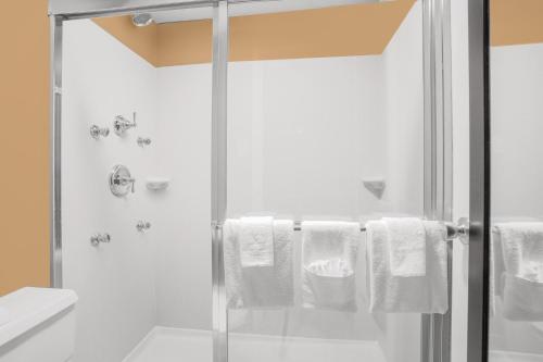 a bathroom with a shower with white towels at North Platte Inn and Suites in North Platte