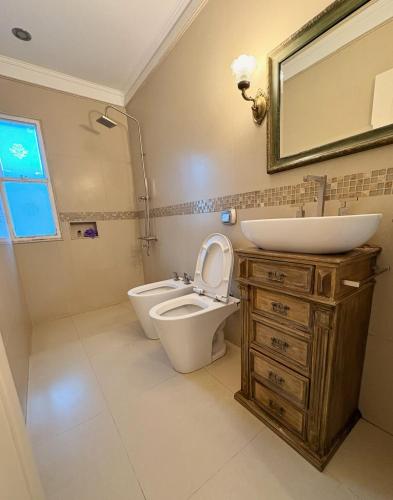 a bathroom with a sink and a toilet and a mirror at Casa LUHA in San Antonio de Areco