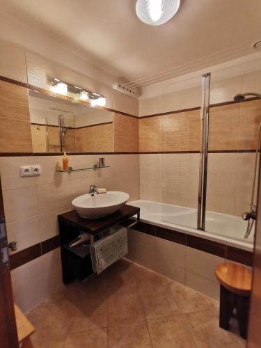 a bathroom with a sink and a bath tub at Rodinný Špic in Špičák