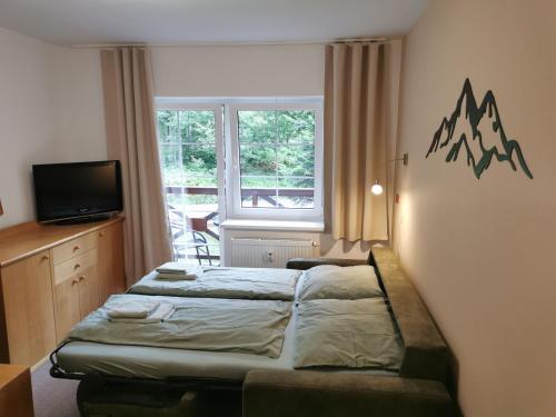 a bedroom with two beds and a tv and a window at Rodinný Špic in Špičák