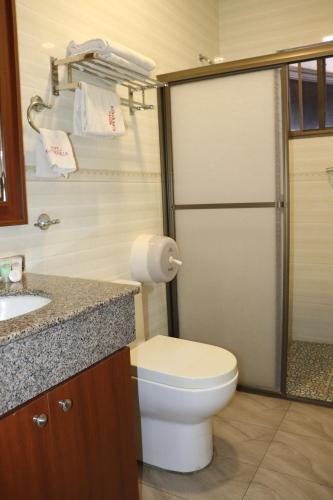 a bathroom with a toilet and a sink at Hotel La Esperanza in Chitré