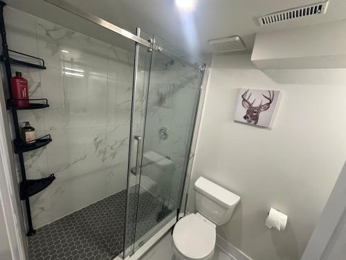 a bathroom with a glass shower and a toilet at Cozy Basement Studio with Private Bathroom and Kitchen in Vaughan