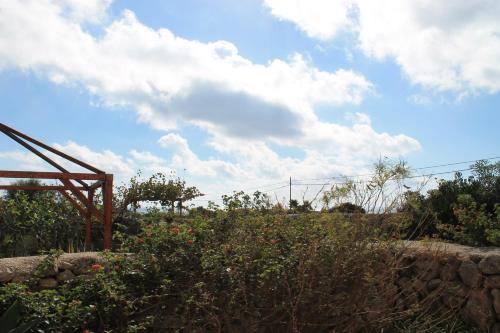 a view of a garden with a blue sky and clouds at Case Canino in Favignana