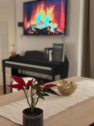 Viennese Nest Apartment