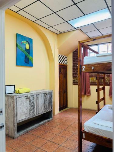 En eller flere senge i et værelse på Yellow Belly Backpackers