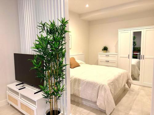 Apartamento Santa Rosa