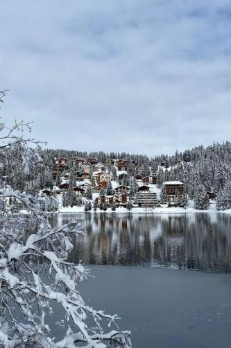 Apartment Studio Arosa von Swisspartments by Interhome