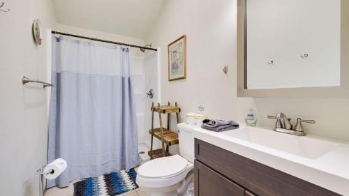 a bathroom with a toilet and a sink and a shower at Chalet All Day by AvantStay in Arrowhead Lake