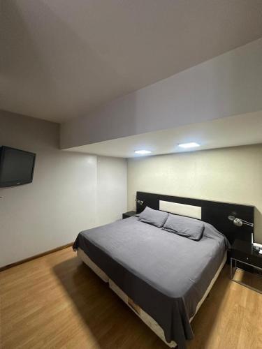 a bedroom with a bed and a flat screen tv at Urban III - Cómodo monoambiente en pleno centro in San Juan