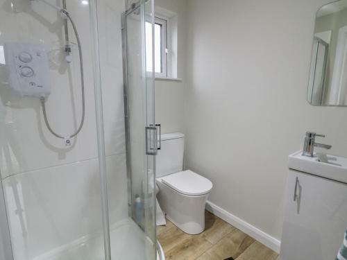 a white bathroom with a toilet and a shower at Binevenagh Point Cabin in Limavady