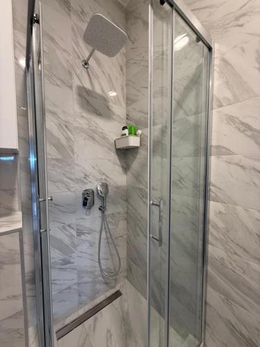 a shower with a glass door in a bathroom at Panonski Mornar in Palić