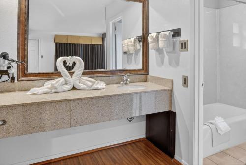 a bathroom with a sink and a mirror at 12 Oaks Hotel in Tyler