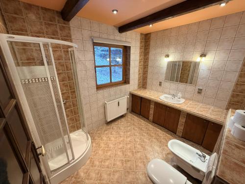 a bathroom with a shower and a toilet and a sink at Summit View Wisła in Wisła