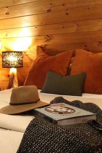 Little Pine Lodge a Smokies Hideaway - 1 mi to GSMNP - King Suite & Loft, Fireplace, Hot Tub & BEARS! photo 19