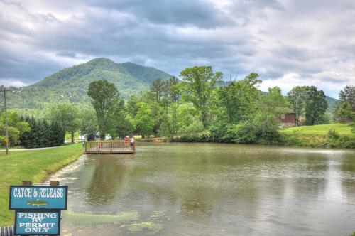 Little Pine Lodge a Smokies Hideaway - 1 mi to GSMNP - King Suite & Loft, Fireplace, Hot Tub & BEARS! photo 13